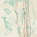 Yosets Quintana Alcoser
