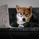 el_mundo_segun_henry