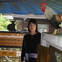 Gena สีวอร์ด