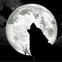 Paloma Miguel Mañas