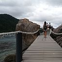 Marta Salgado Araujo