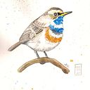 Mensegal Baz Madruga