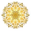 Zdenka