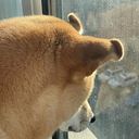 Eréndira Velázquez Escobedo