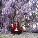 María Victoria Rivas Vallejos