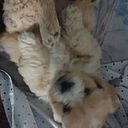 Angela Parco Ramirez