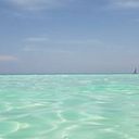 Alejandra Mendez de León