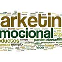 DG Servicios