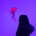 Aylin Carolina Jiménez Fuentes