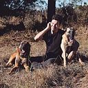 Vinícius Ares Toledo