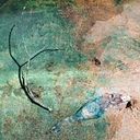 Marilina Davila Hernández