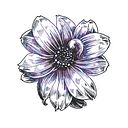 Mauro Nahuel Sotelo Alonagaray