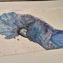 Sandra Rodriguez-Brown