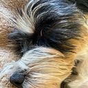 José Ángel Añón Gámez