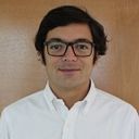 Pedro Andrade Harrison