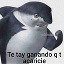 sofiadiazavendano
