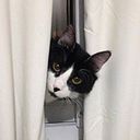 Francisca Vásquez G