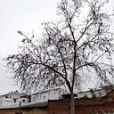 Juani Gonzalez Sutil