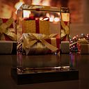 Miguel Angel Quirola