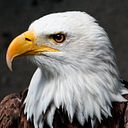 Miguel Angel Bédmar Rodríguez