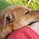 Hector "Tito" Hevia Gomez