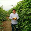 Miguel Angel Palomino Rebaza