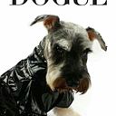 Alexander Bustos Acosta