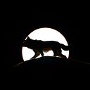 WILMER DUARTE MENDEZ