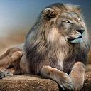 Roy Gerardo Astorga Ramirez