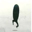 Cindy Juliza Dueñas Cazani