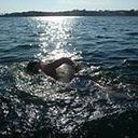 Sergio Gallardo Angel