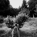 Satya Apeztegia Jauregi