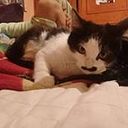 Liliana Manriquez Lopez