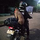 Geiner Mauricio Castro Melo