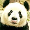 Andres Felipe Triana Rodriguez