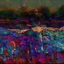 Frances M Rodríguez Berríos