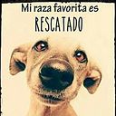 Consuelo Fernández Sánchez