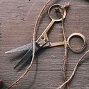 username_1746535572_139459