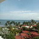 Angelica Benavides Diaz