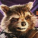 Raccoon Gaming