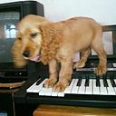 Sara Nicolle Martinez