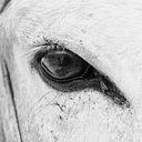 Maria Emiliana Lasko