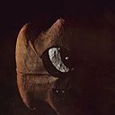 Alejandro Ovando Sanchez