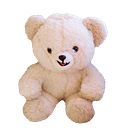 Willy Walter Gavidia