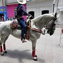 Aljesus Aljesus Cruz