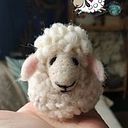 Kathalanas Patagonia-chile