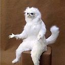 Matias Vicente Castillo Candia