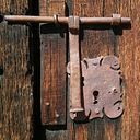 Alicia Anton Collado