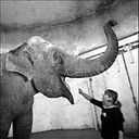 Мария Тимбукту Стоянова