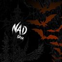 Nad Daya
